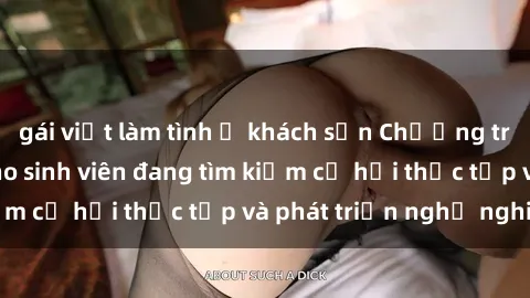 gái việt làm tình ở khách sạn Chương trình hợp tác JAV cho sinh viên đang tìm kiếm cơ hội thực tập và phát triển nghề nghiệp